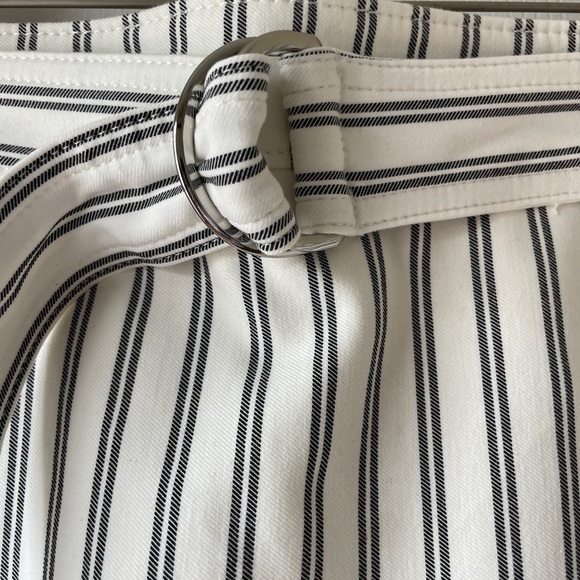 Ann Taylor Cream Striped Belted Skirt - Picture 3 of 5